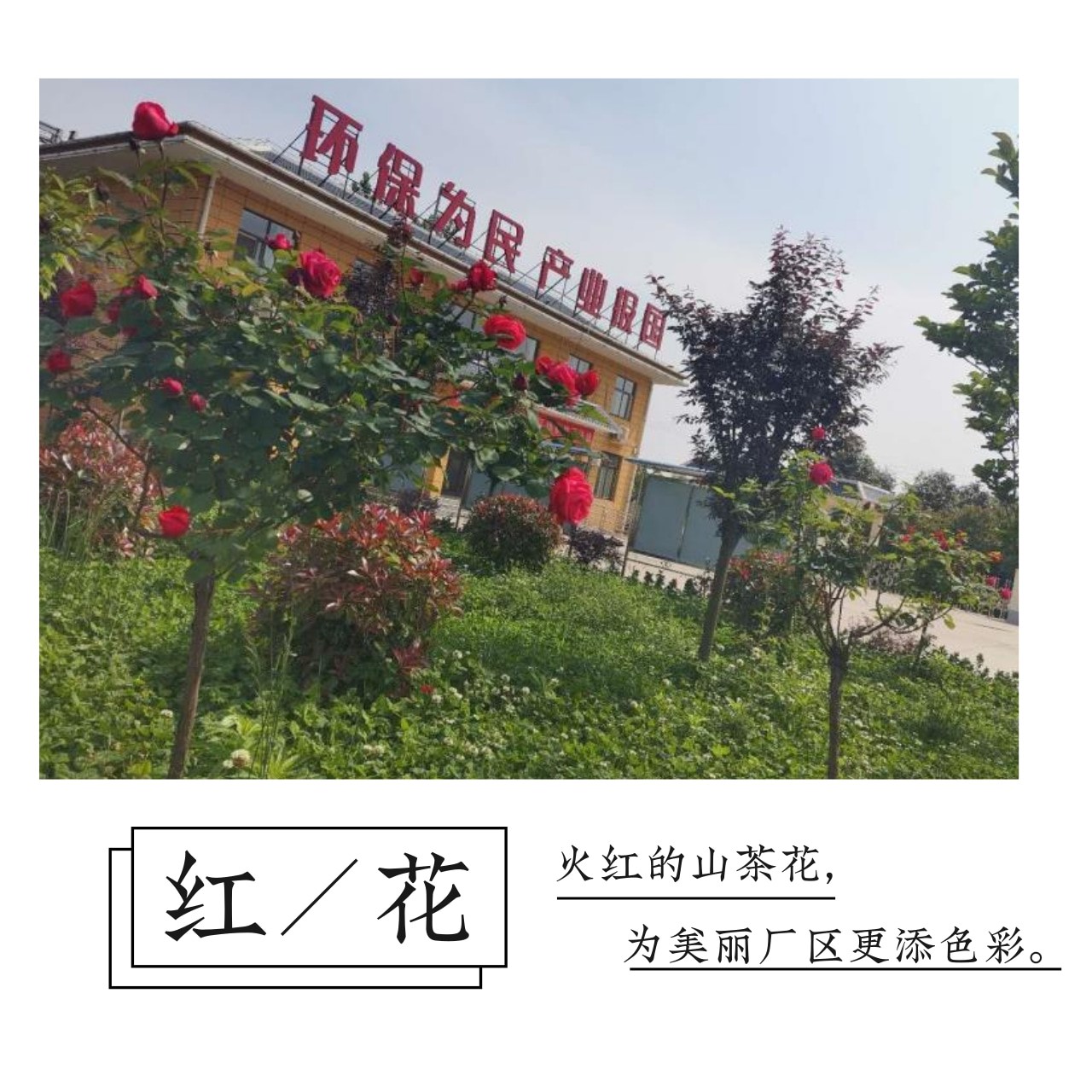 ��������������Ũ����Ӱ�����������������չʾ��һ��