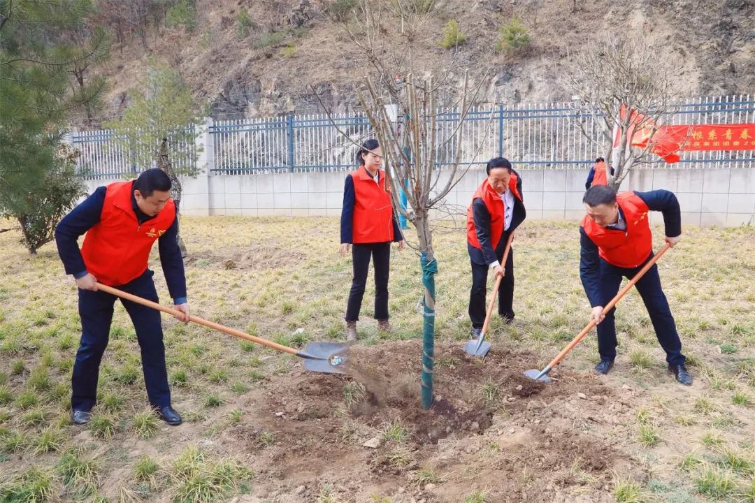 根系青春·植此青绿|陕西JDB电子集团团委发展使命植树自愿活动 根系青春·植此青绿|陕西JDB电子集团团委发展使命植树自愿活动